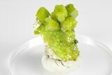 Apple-Green Pyromorphite Crystal Cluster - China #179778-1